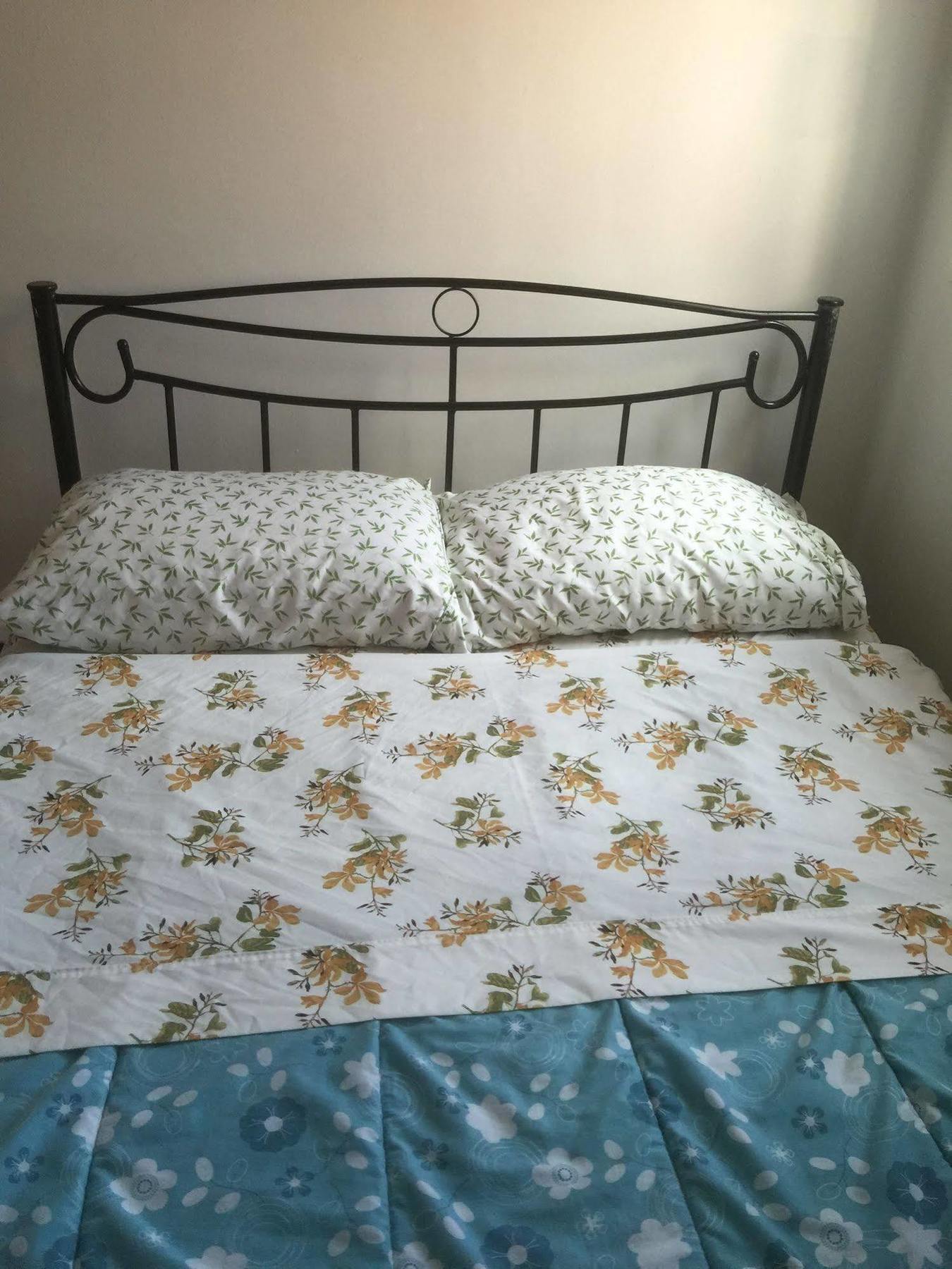 University Apartment Торонто Екстер'єр фото